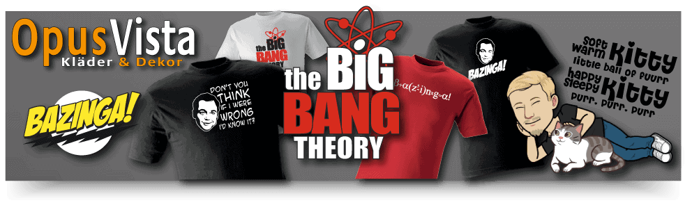 The Big Bang Theory