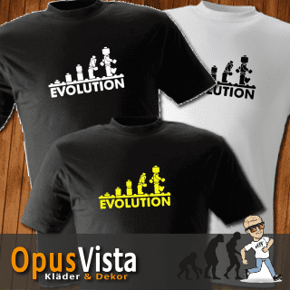 Evolution-Lego 3