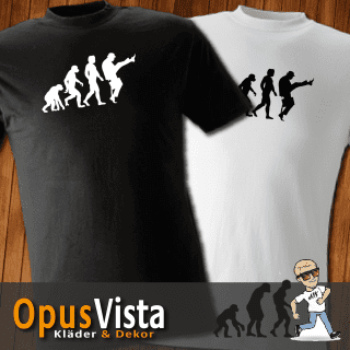 Evolution-Silly Walk